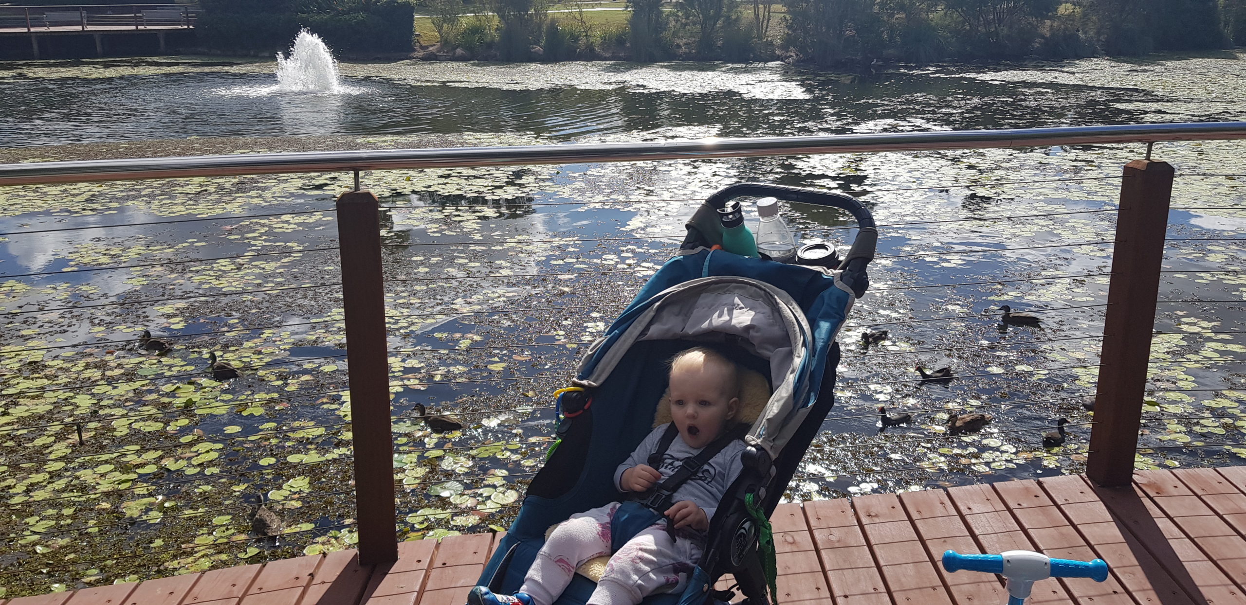 Coomera Springs Park, Coomera - Mrs Lardeedah