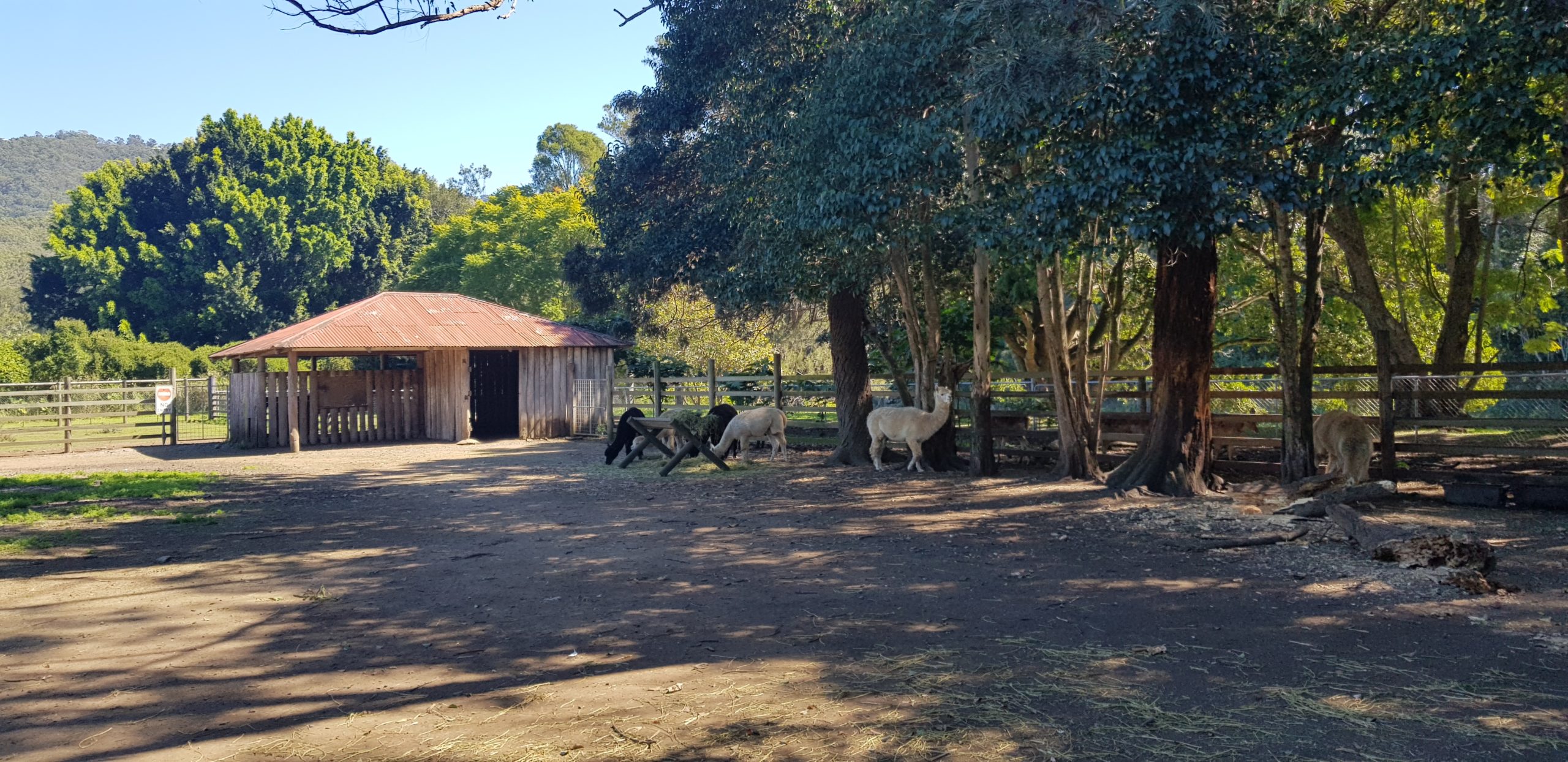 Historic Rivermill Petting Zoo