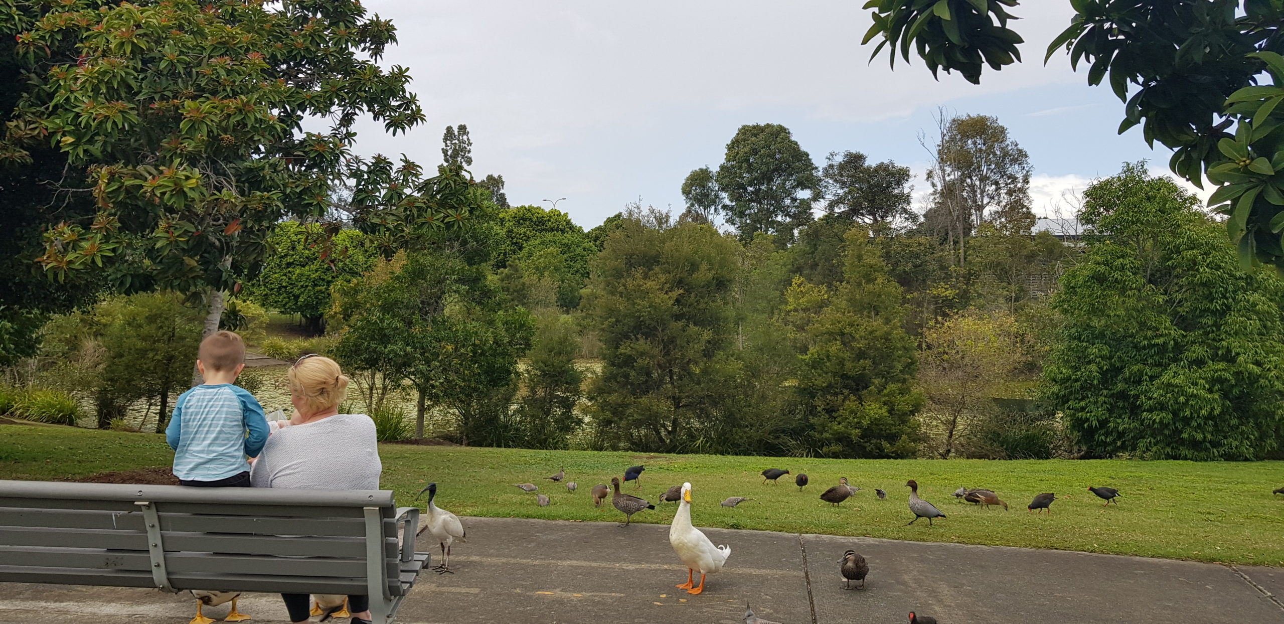 Duck Park Gold Coast