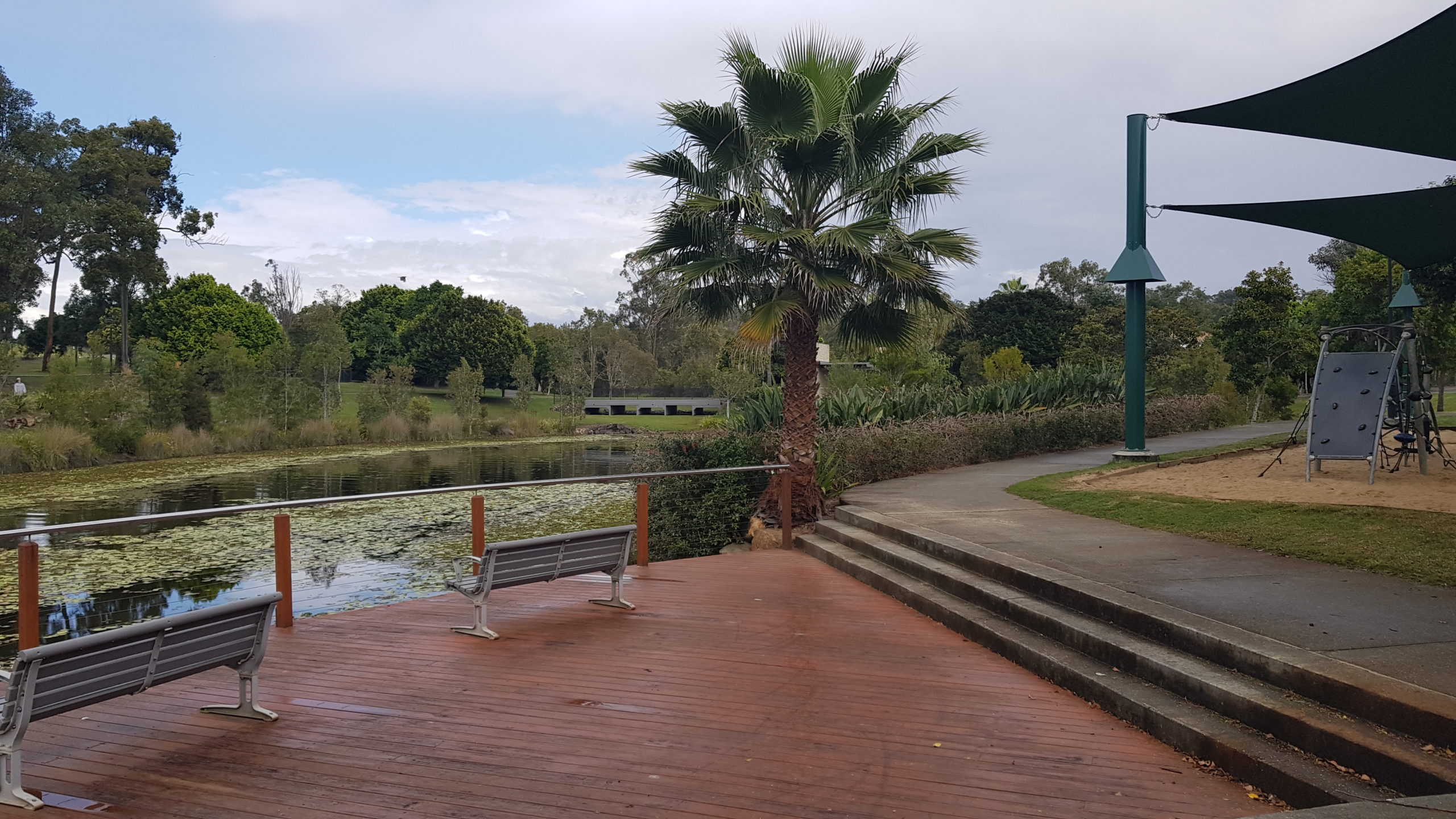 Coomera Springs Park, Coomera - Mrs Lardeedah