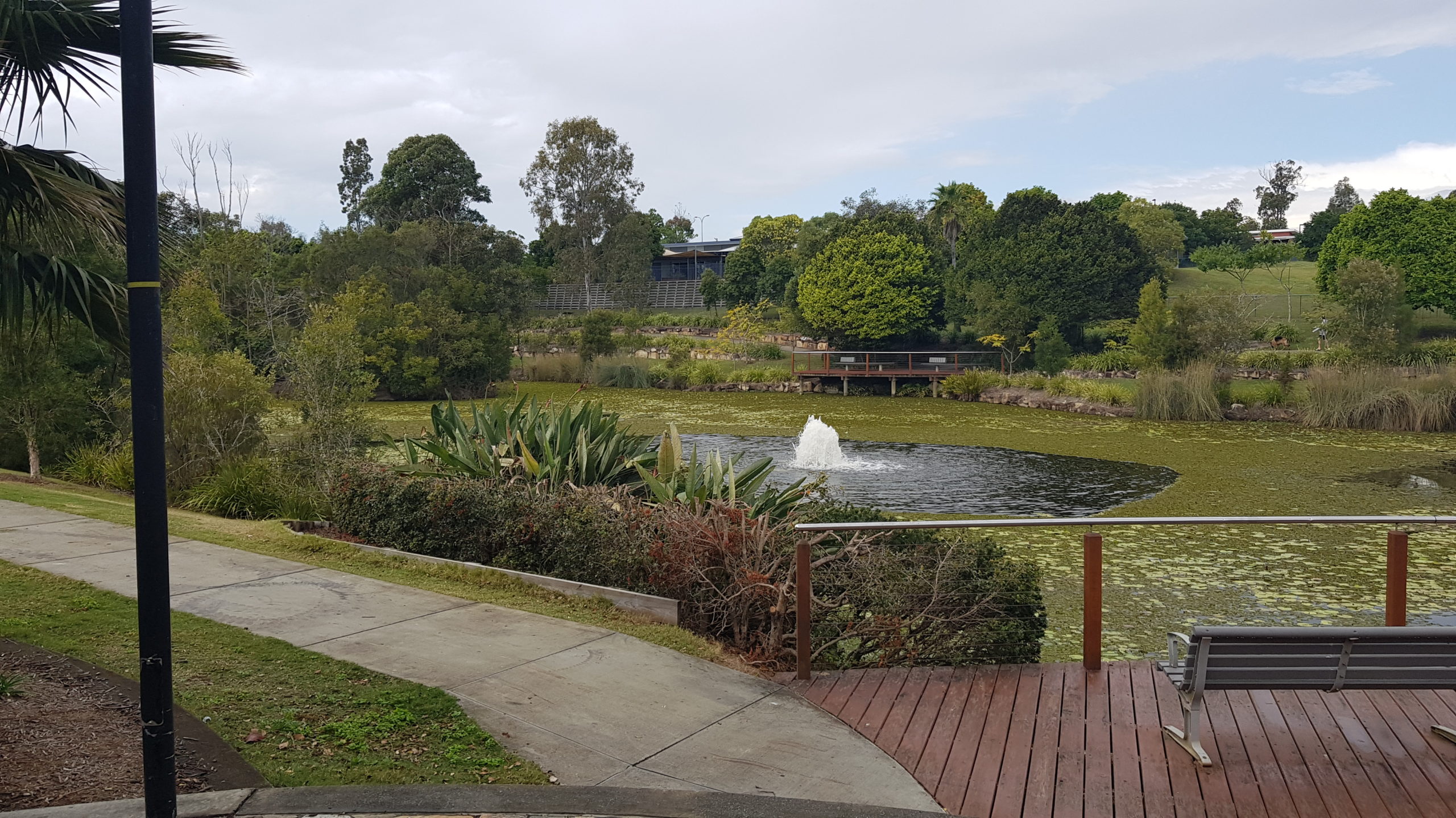 Coomera Springs Park, Coomera - Mrs Lardeedah