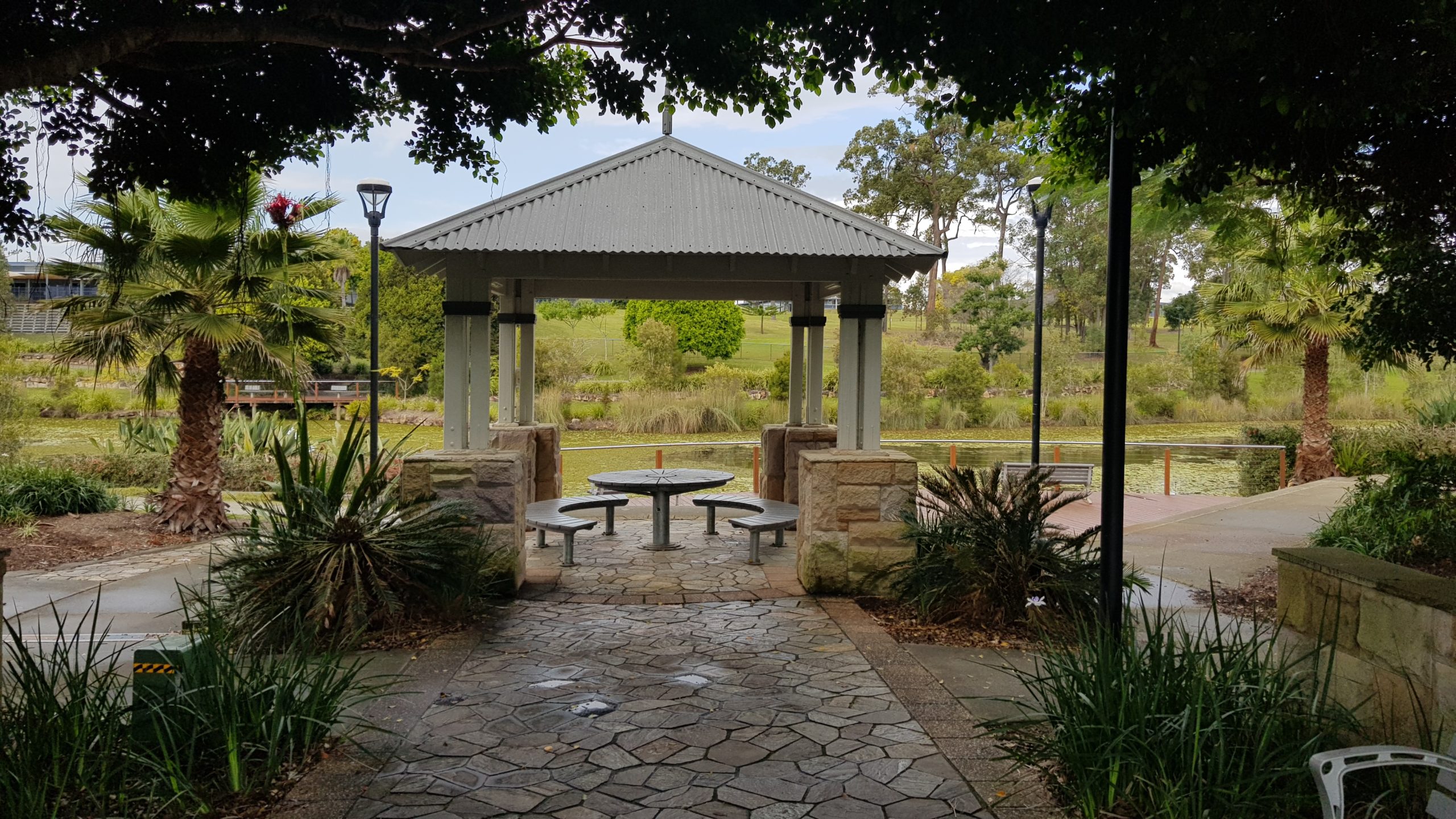 Coomera Springs Park, Coomera - Mrs Lardeedah