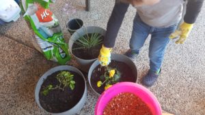 Toddler Planting Flowers
