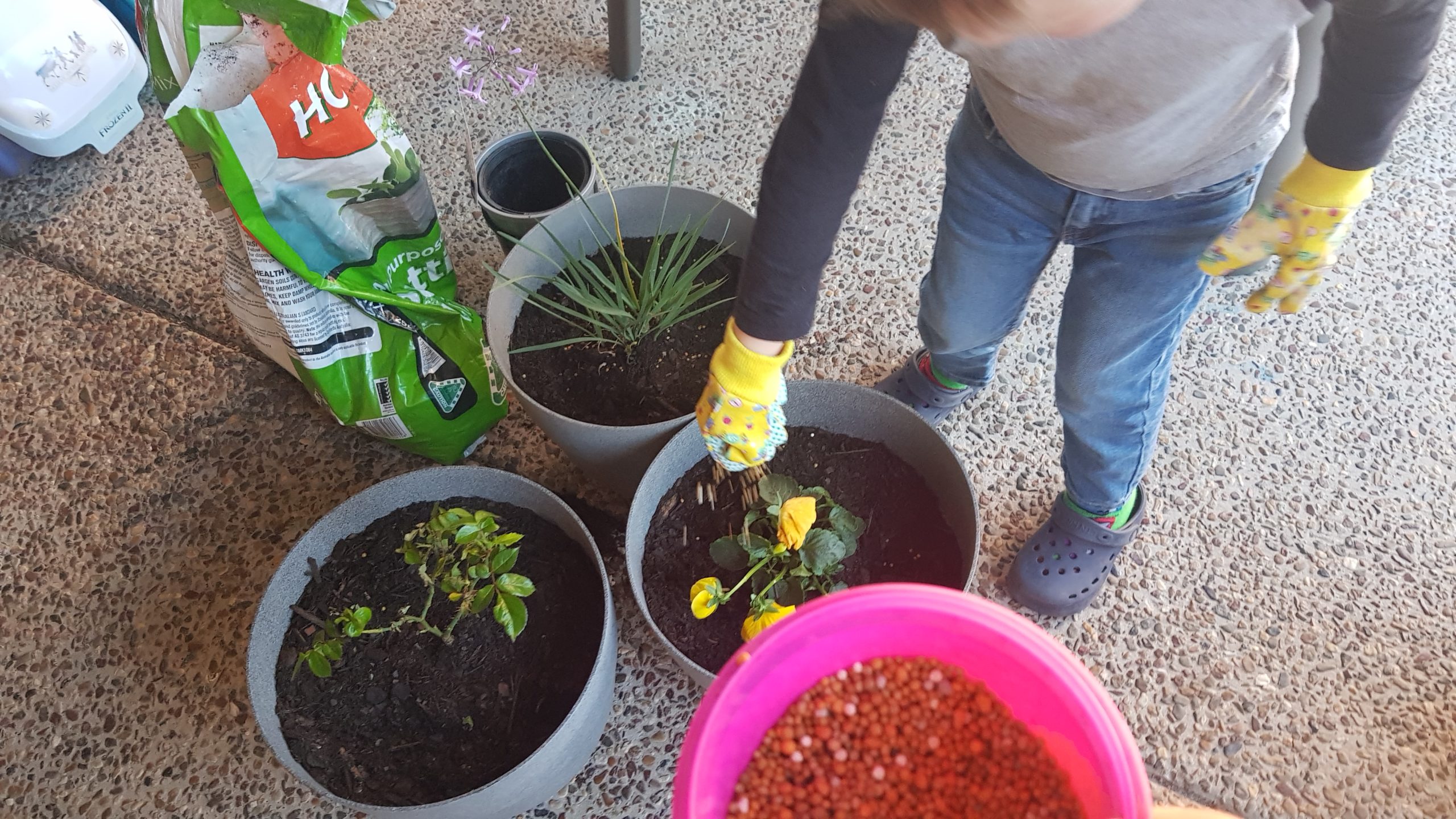 Toddler At Home Fun Gardening