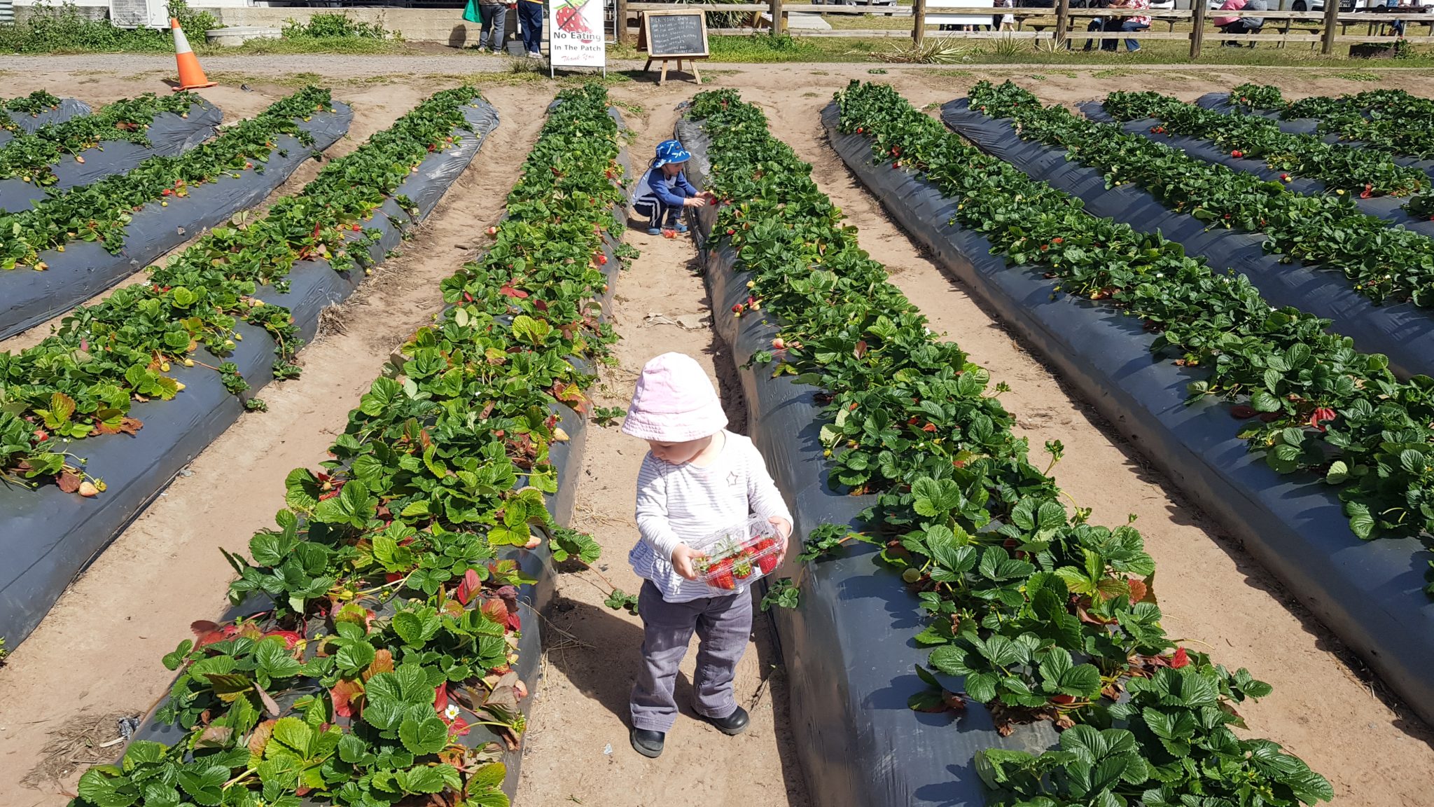 EMF Jnr Nerang Fun Things For Toddlers emf-jnr-nerang-fun-things-for-toddlers