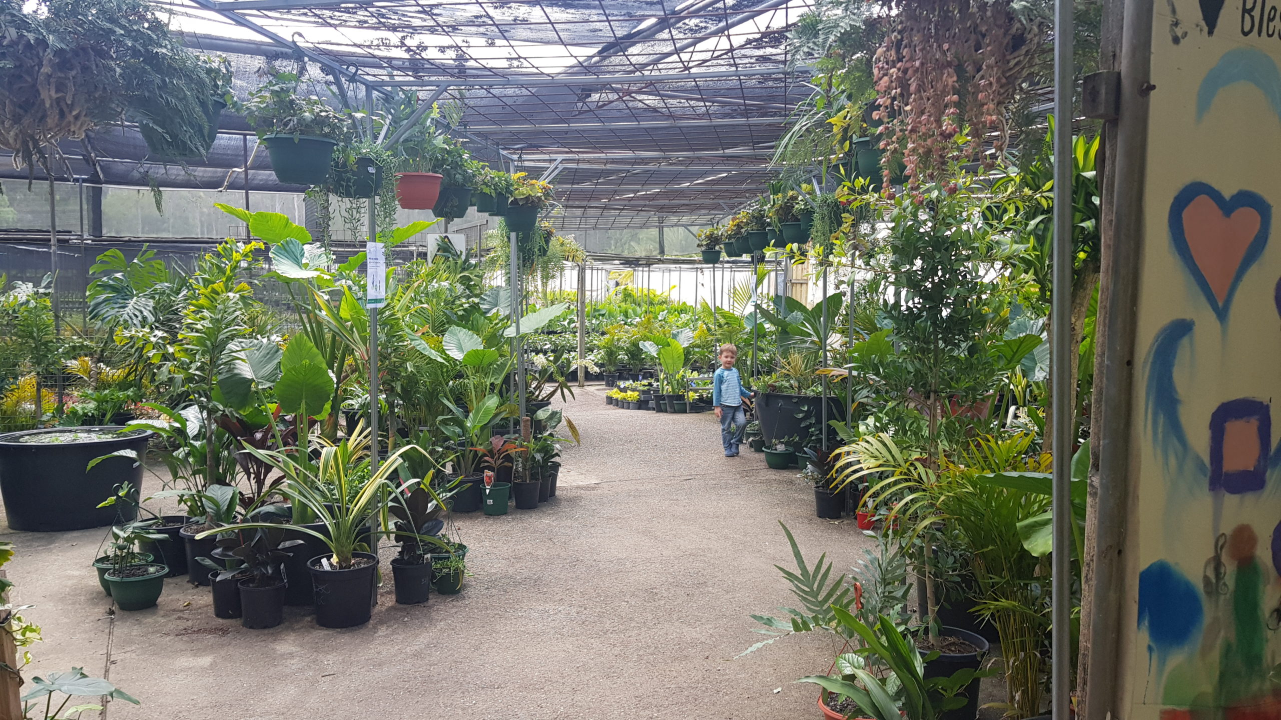 Indoor Eden Nursery