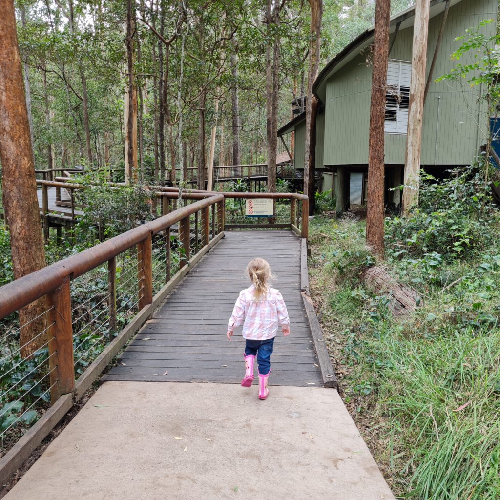 Daisy Hill Koala Sanctuary