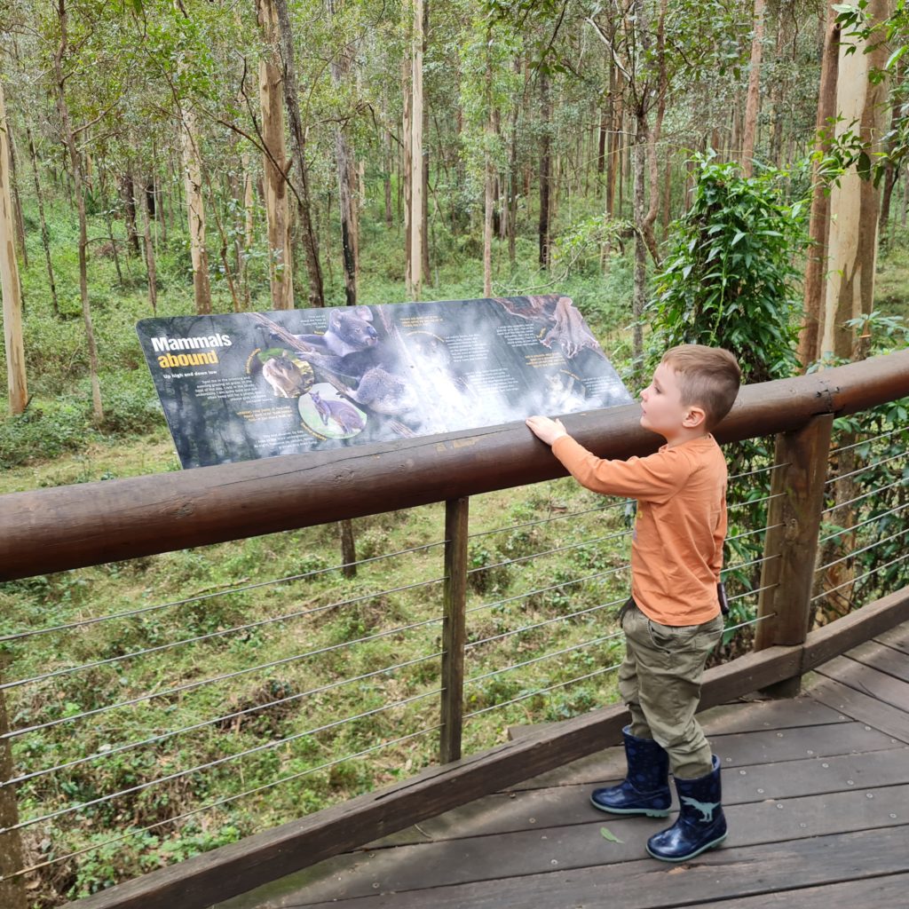 Koala Centre