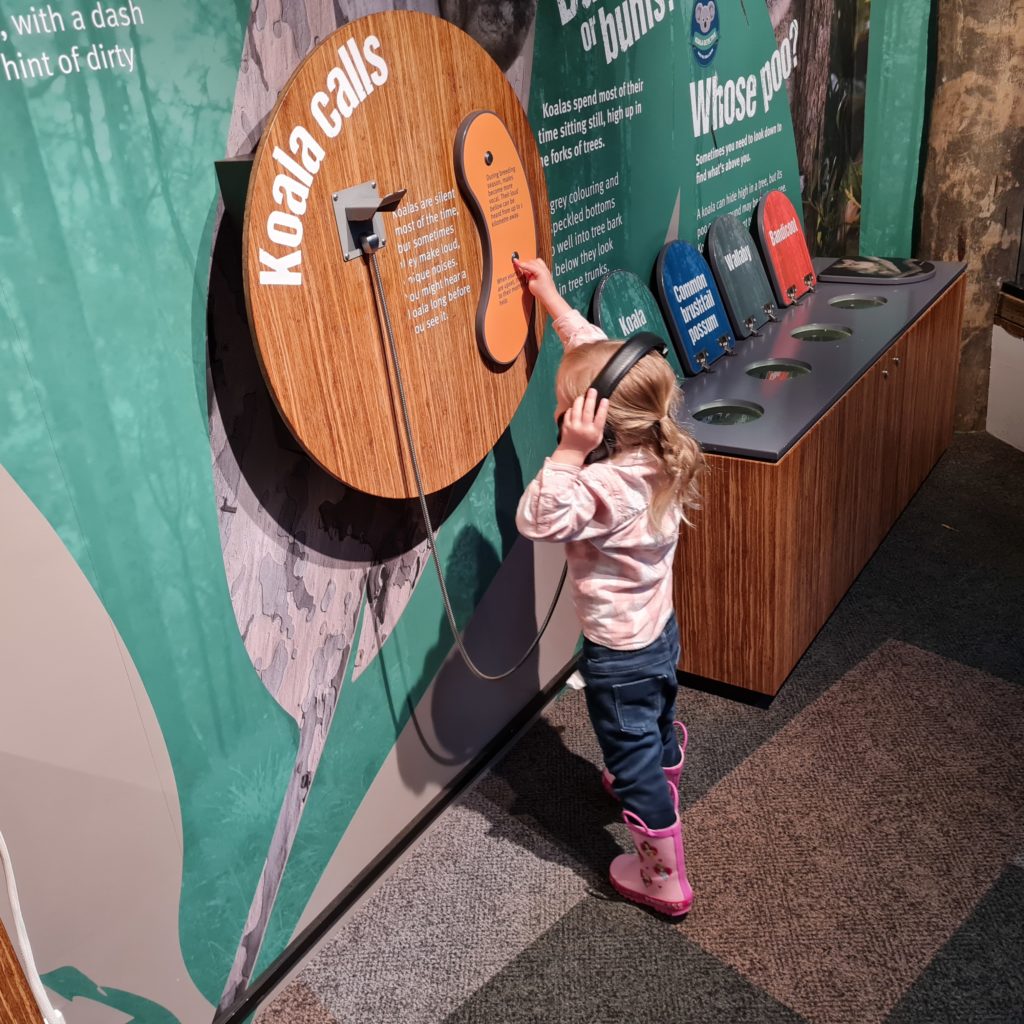 animal encounters toddlers