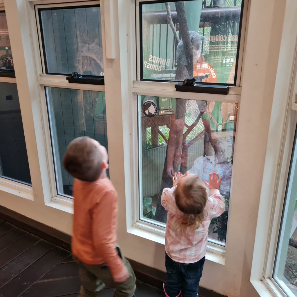 animal encounters for toddlers