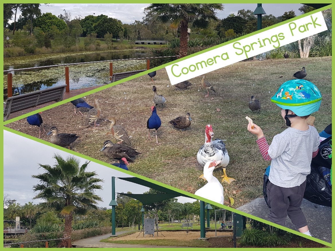 Coomera Springs Duck Park