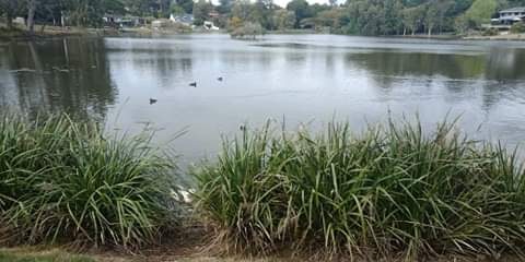 Lake Dennis Park