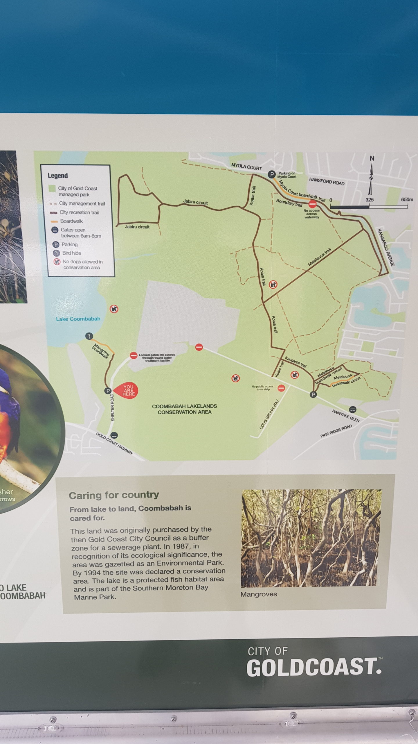 Coombabah Reserve Map