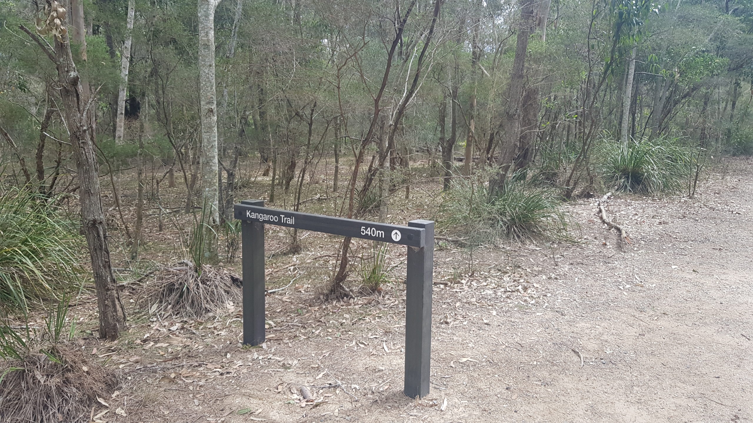 Kangaroo Trail