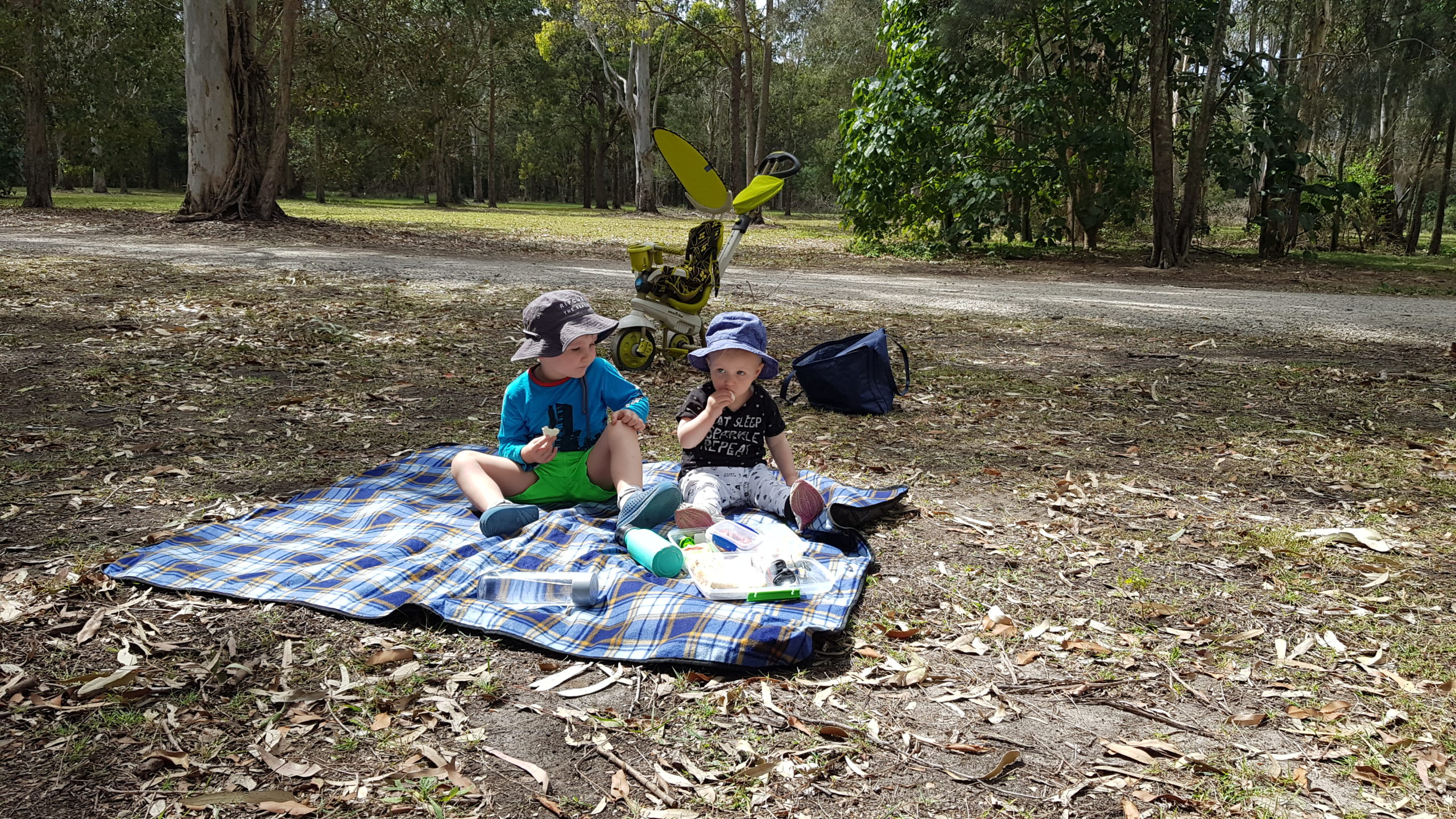 Coombabah Picnic