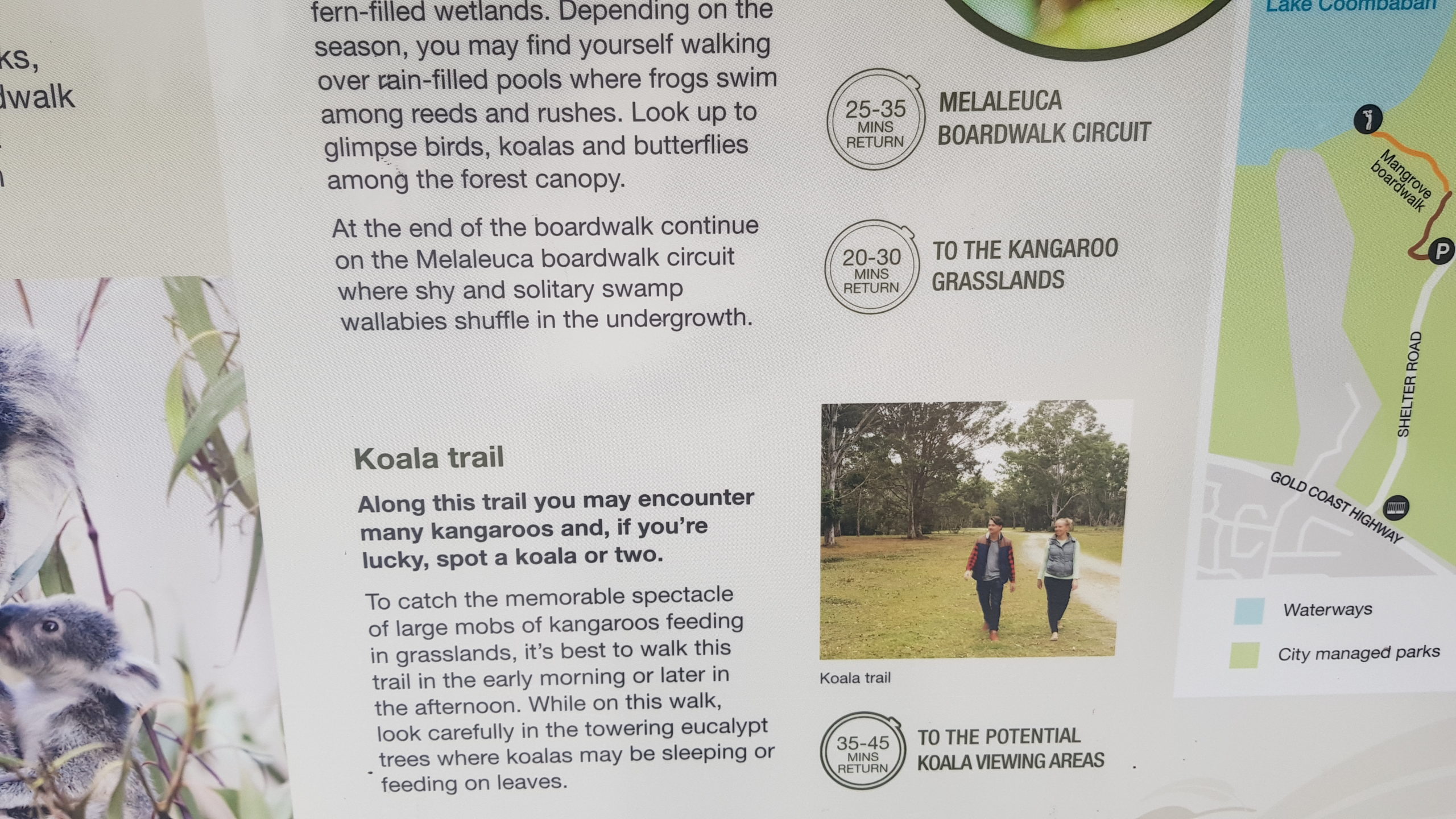 Koala Trail