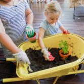 Little Garden Growers