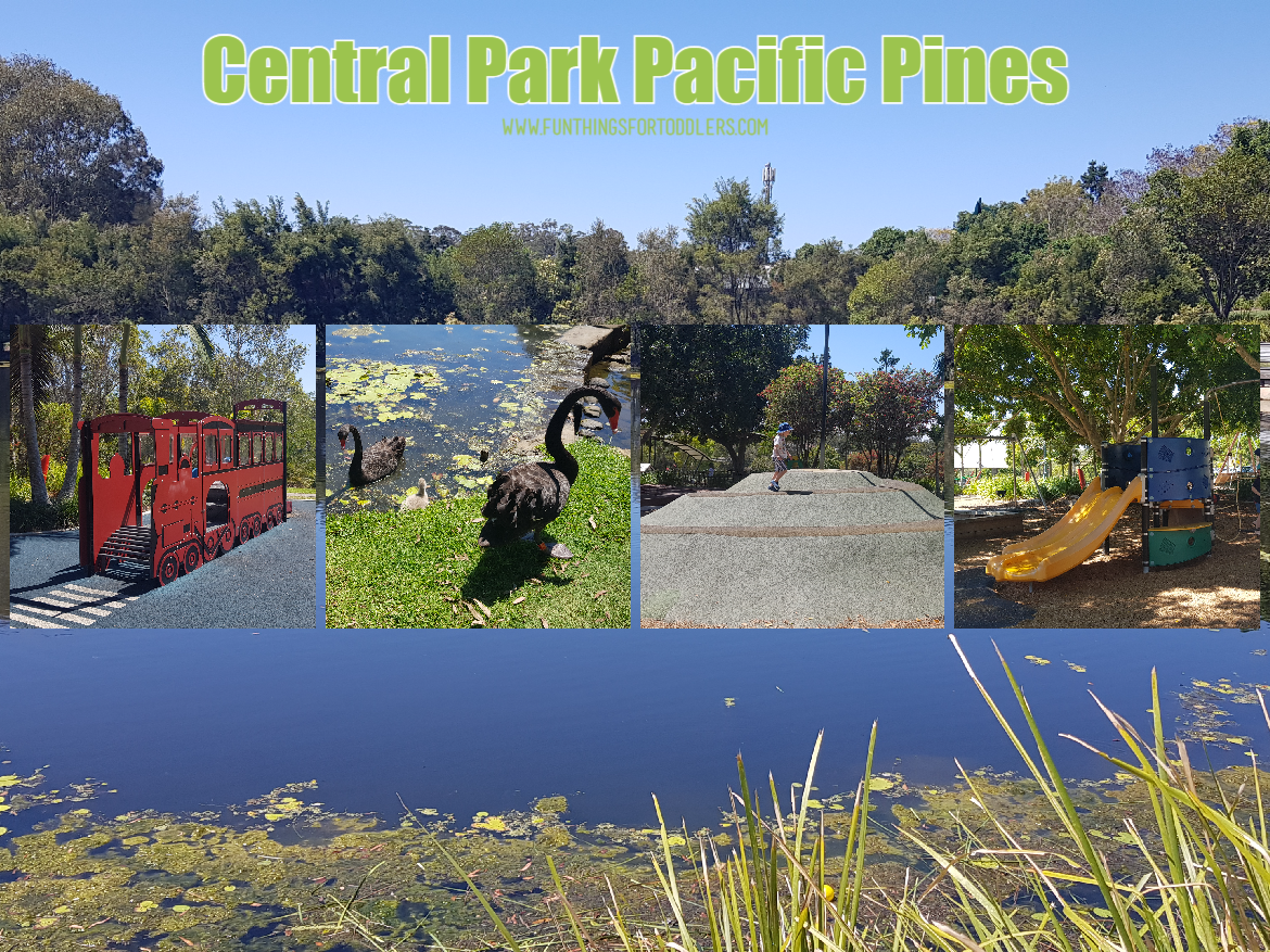 Central-Park-Pacific-Pines