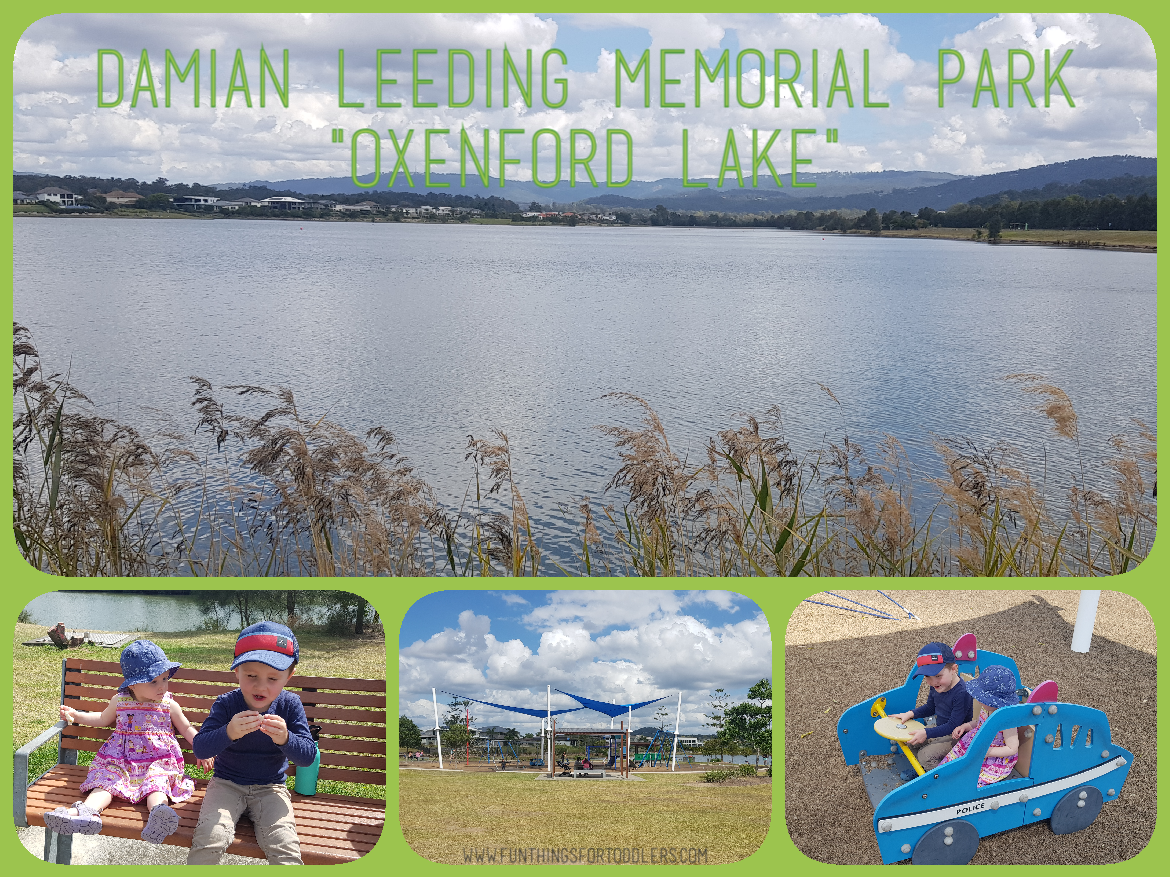 Damian-Leeding-Memorial-Park-Oxenford-Lake