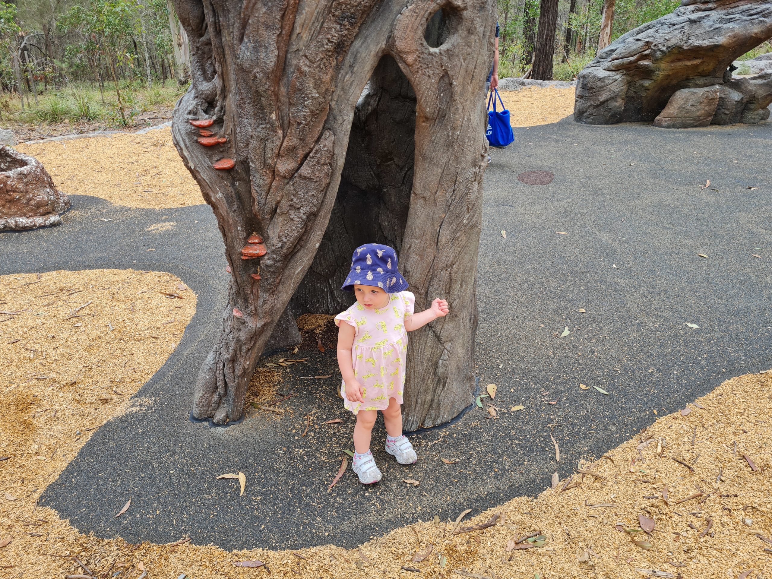 Karawatha Forest Nature Play Space