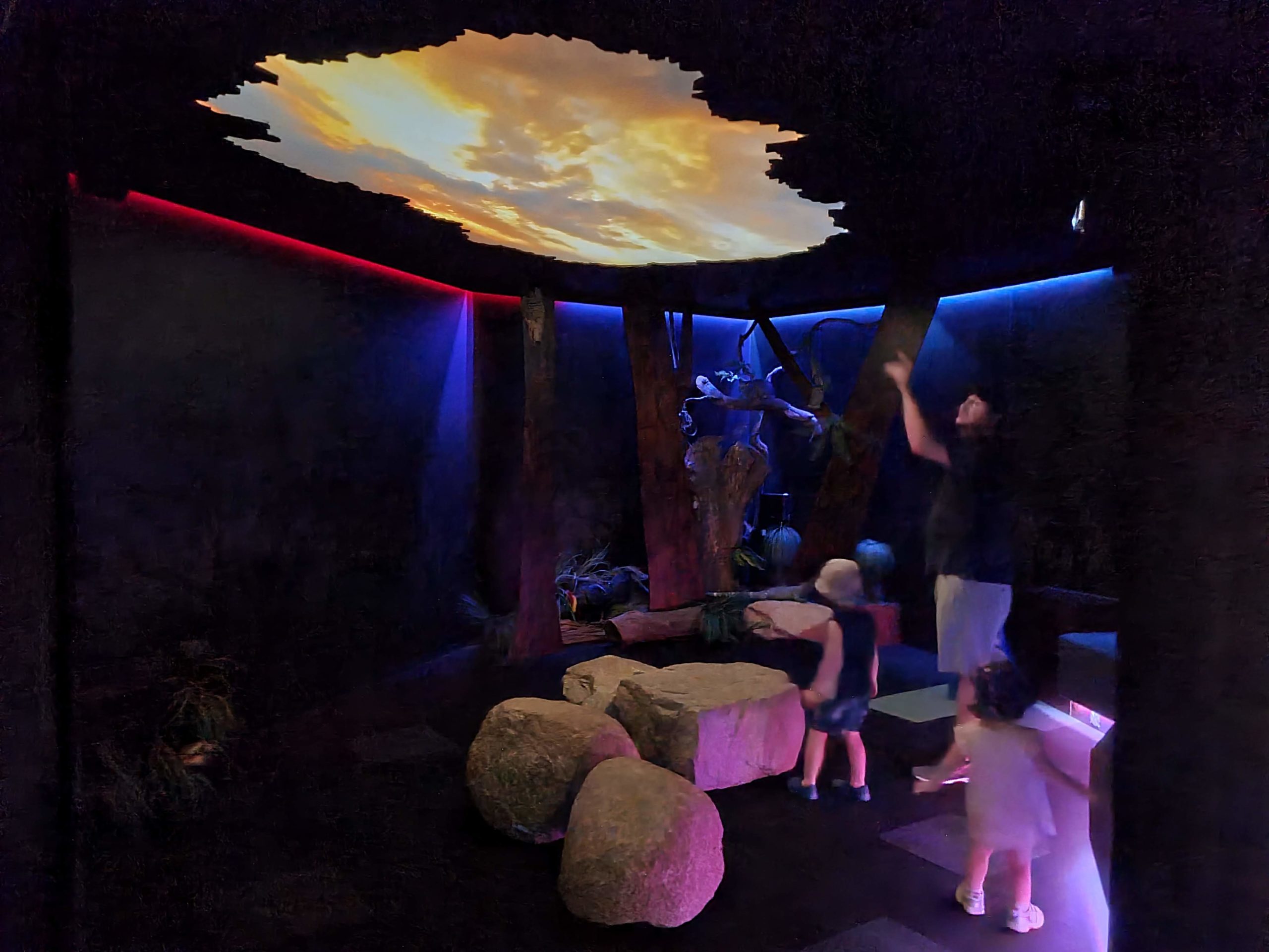 Karawatha Forest Park Discovery Centre Night Room