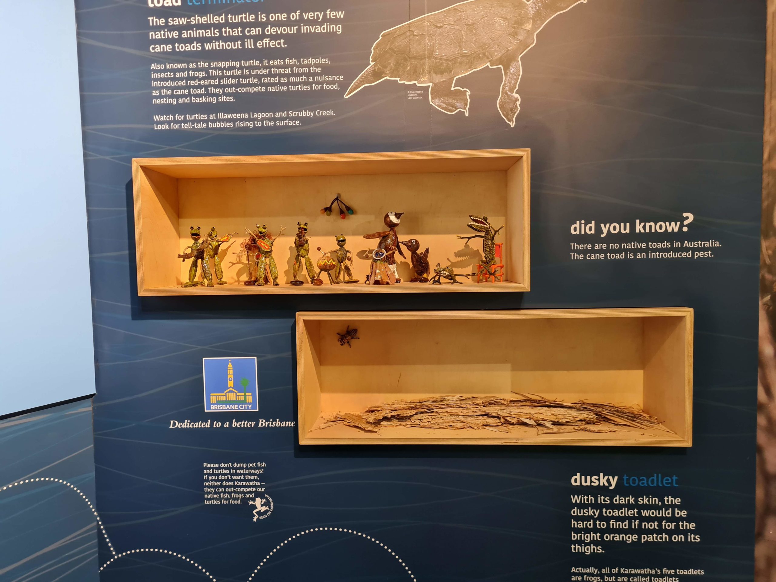 Discovery Centre Exhibits