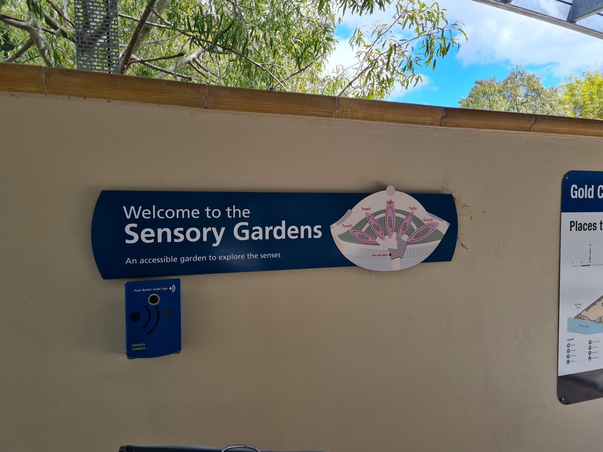 Sensory Garden