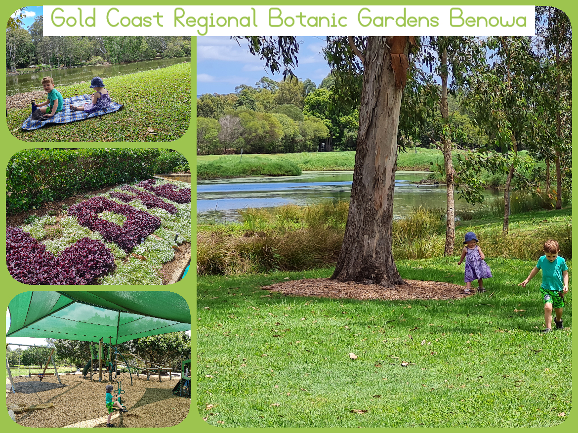 Gold Coast Regional Botanic Gardens Benowa