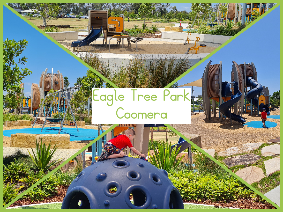 Eagle Tree Park Coomera