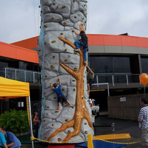 Rock climbing wall