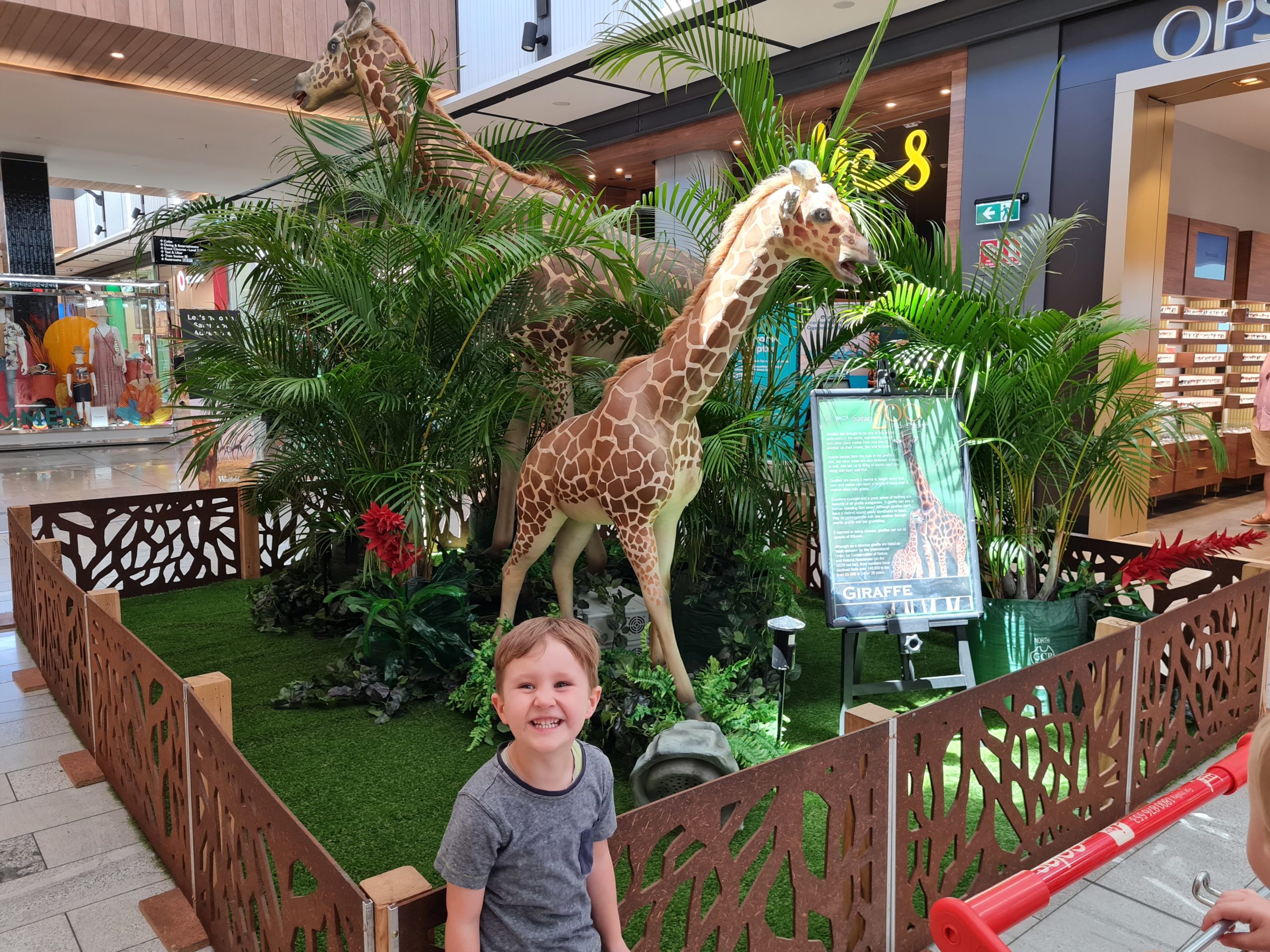 Westfield Coomera Safari Zoo Adventure