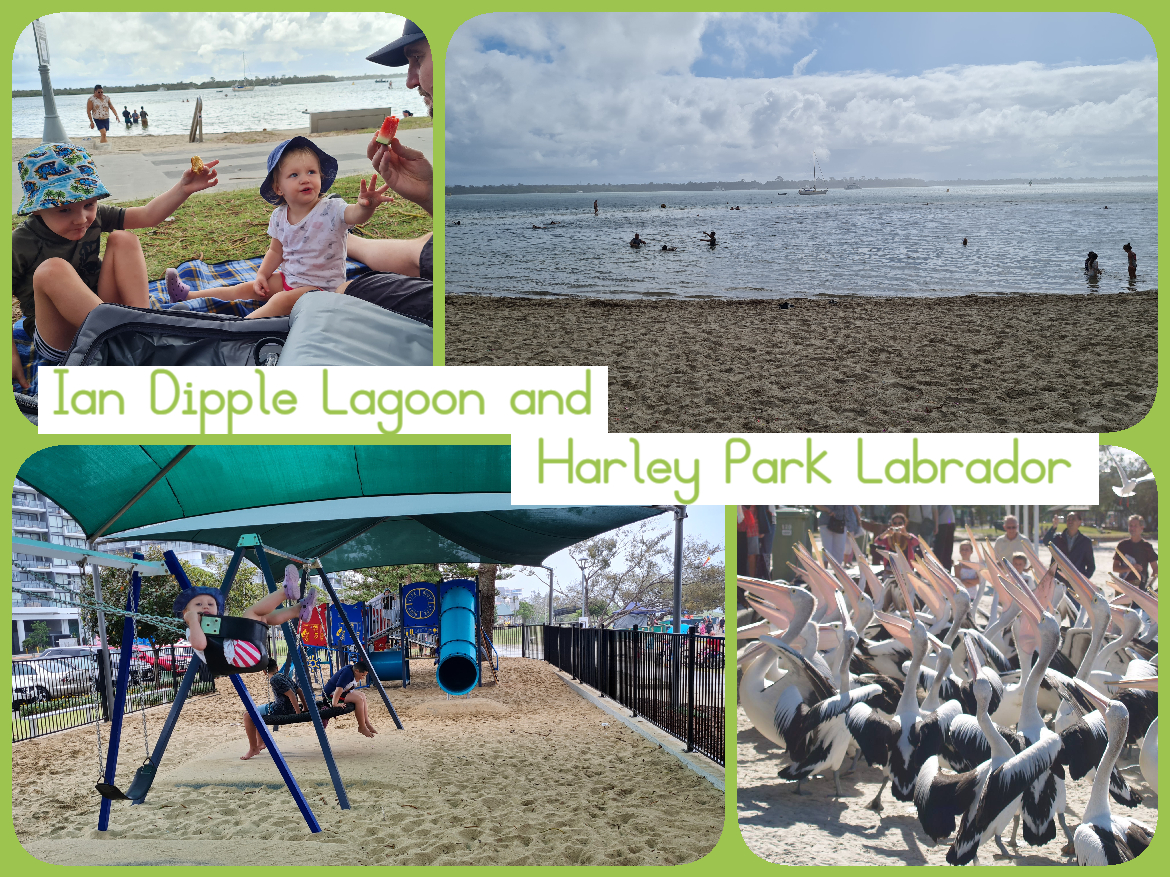 Ian Dipple Lagoon and Harley Park Labrador