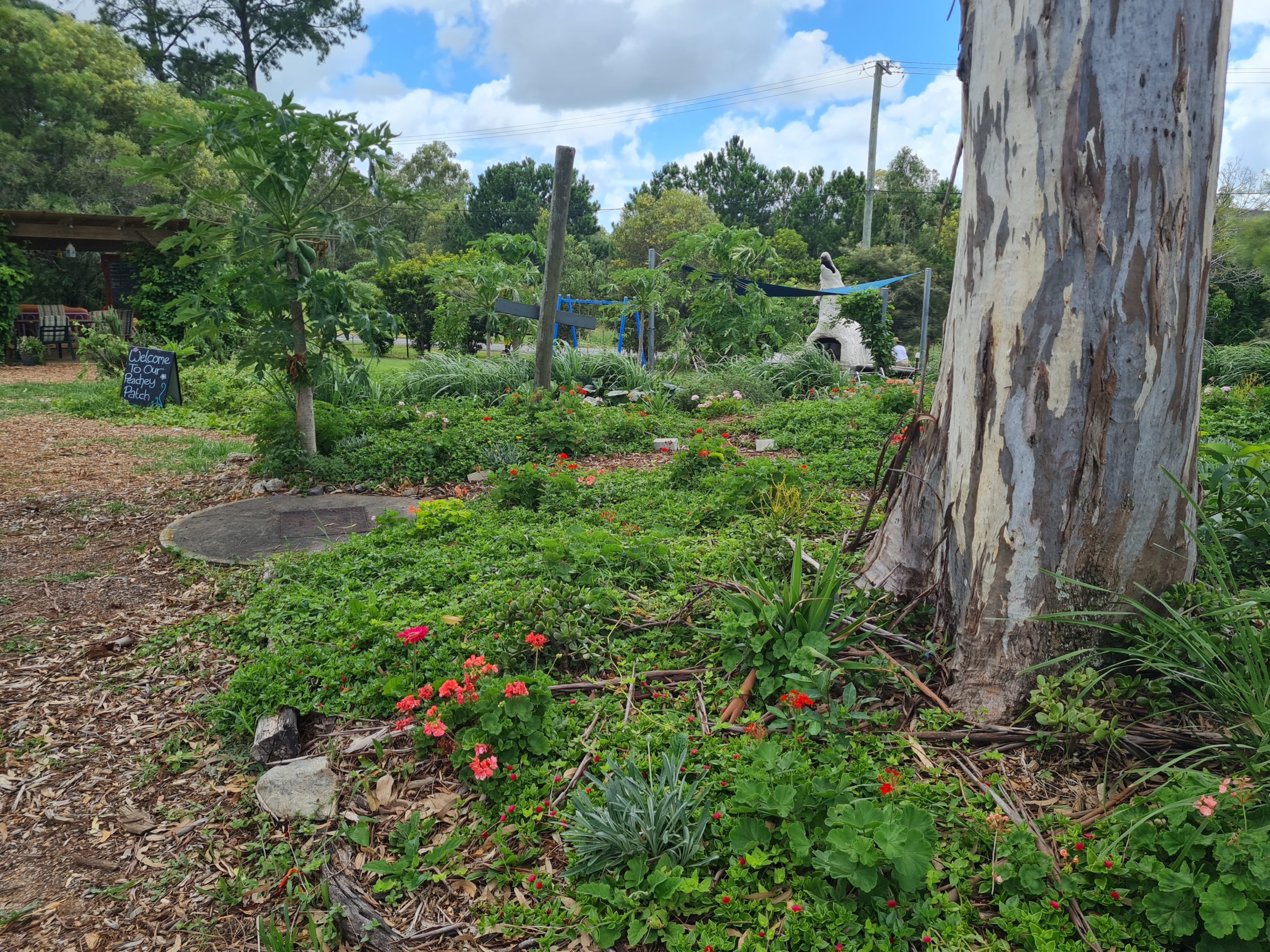 Community Garden Ormeau