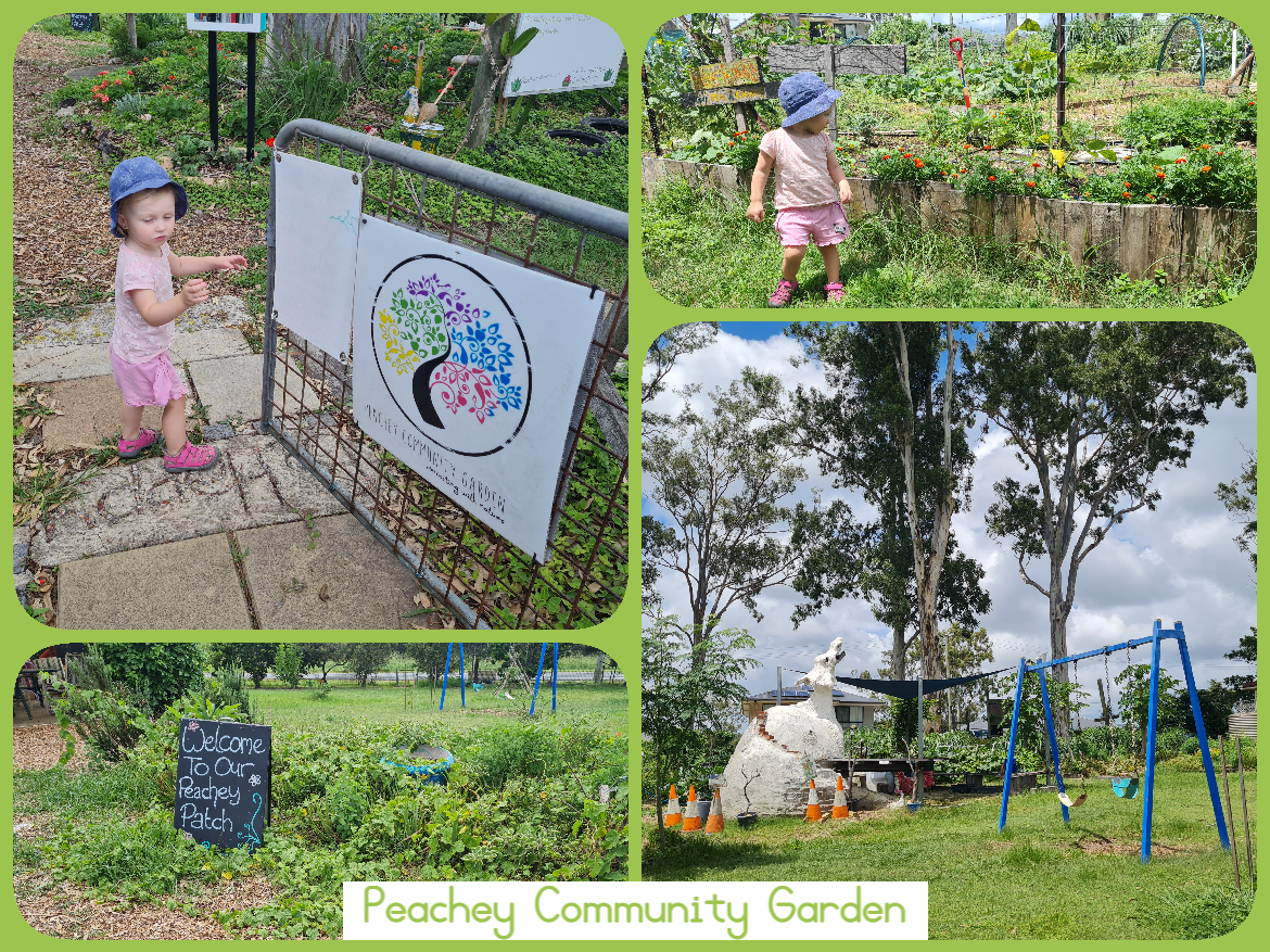 Peachey Community Garden Ormeau