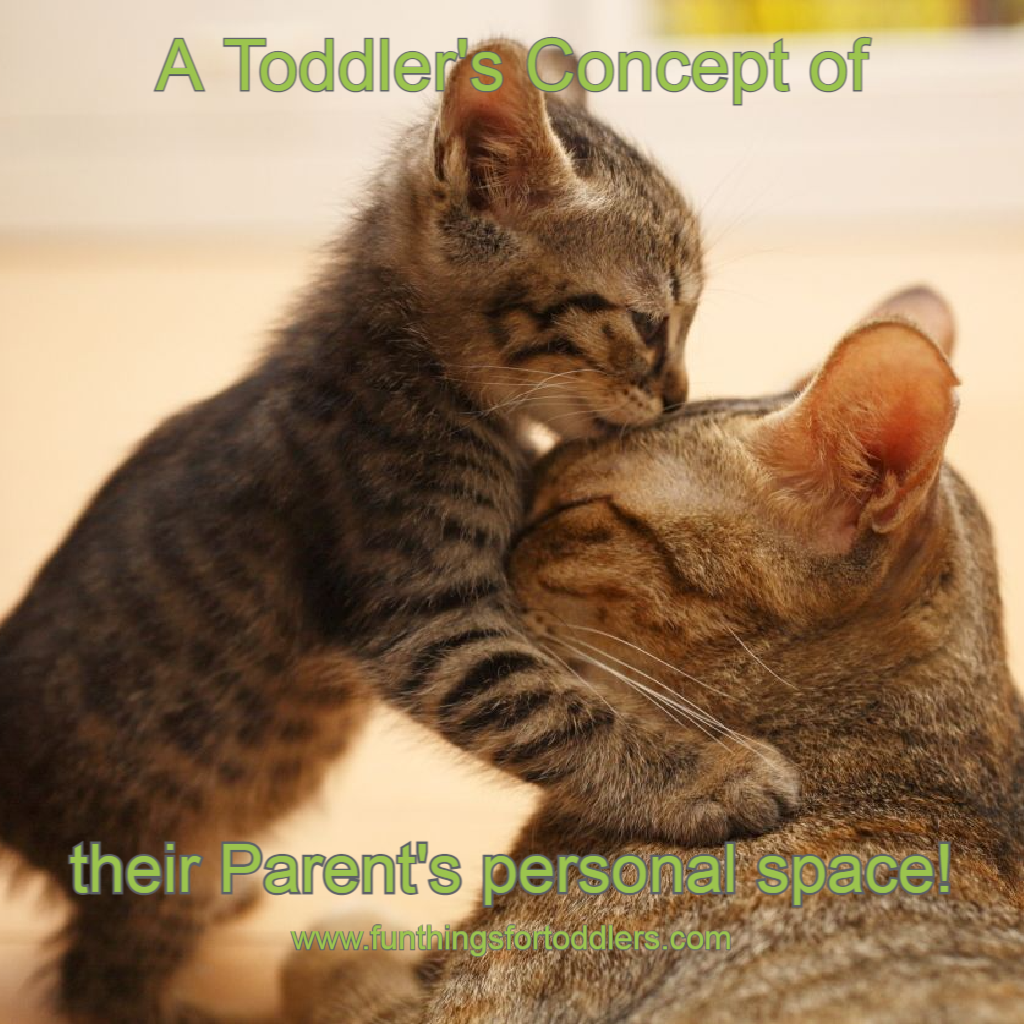 Toddler Meme Personal Space