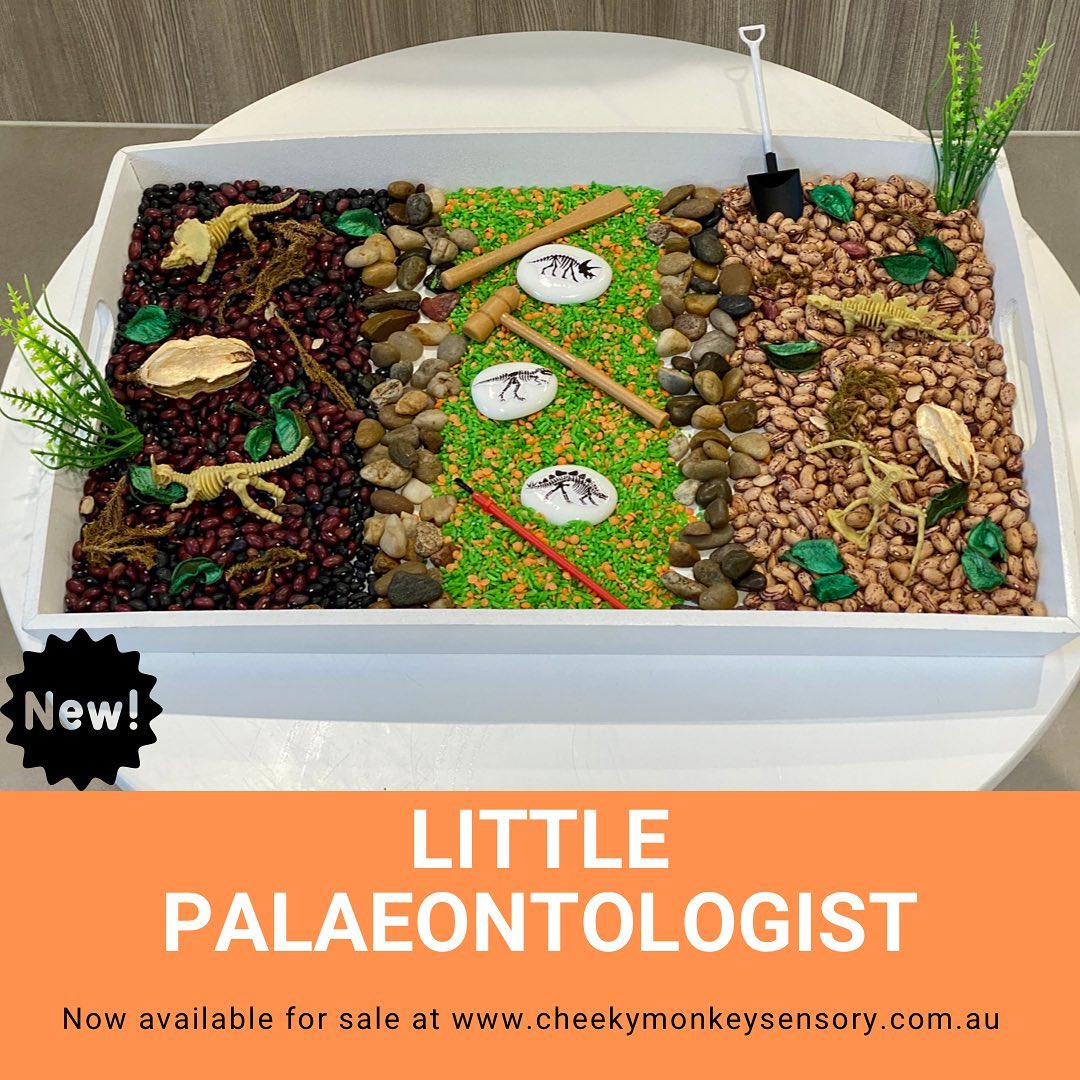Little Palaeontologist
