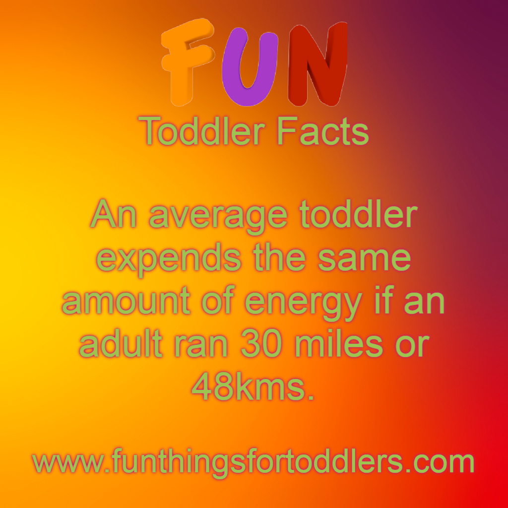 Toddler Fact Energy