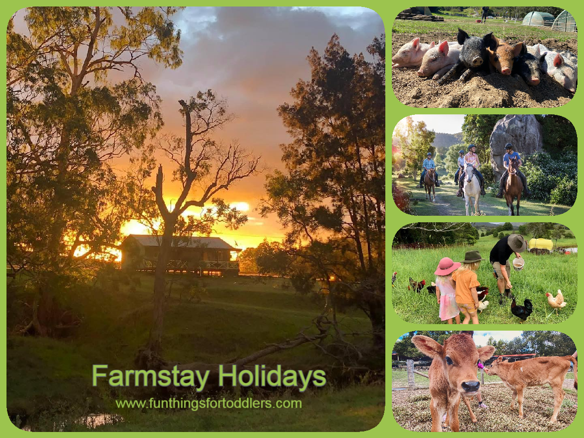 Farmstay Holidays