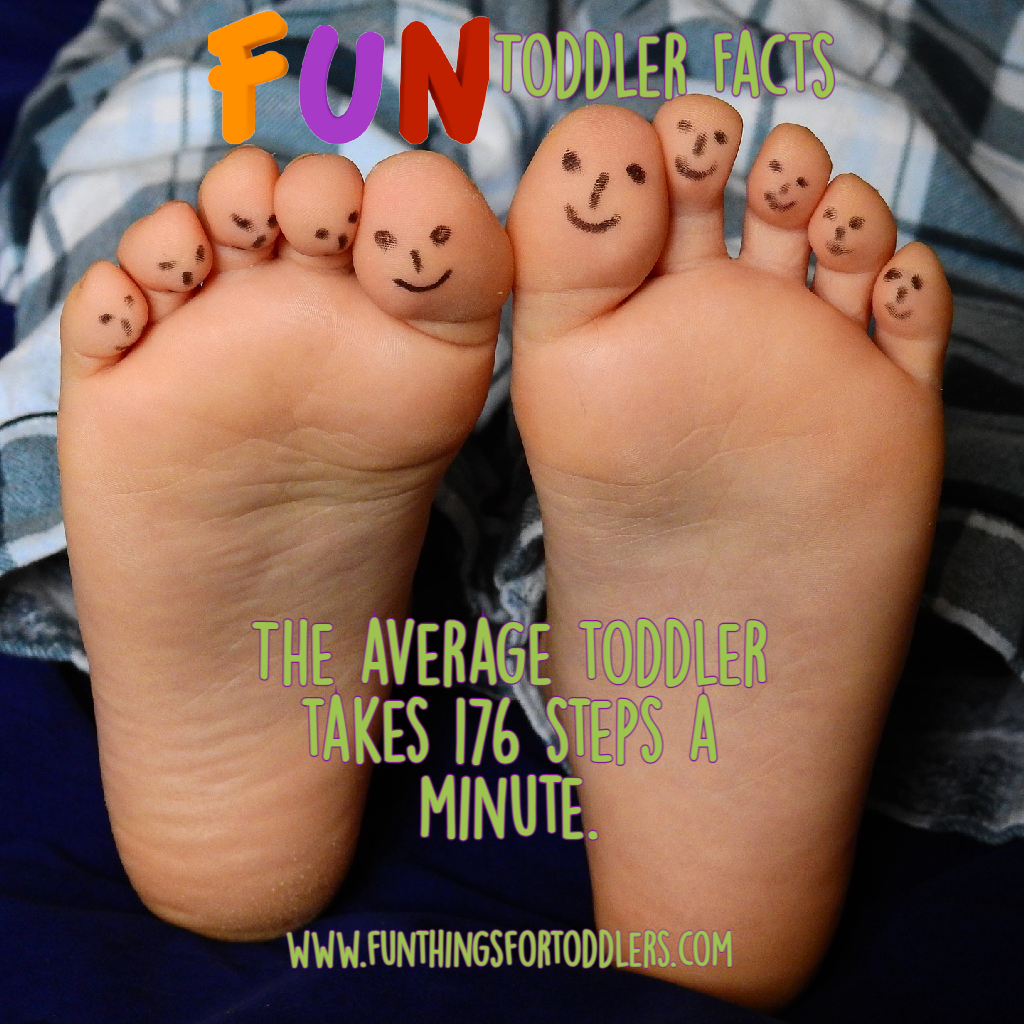 Fun Toddler Fact Steps