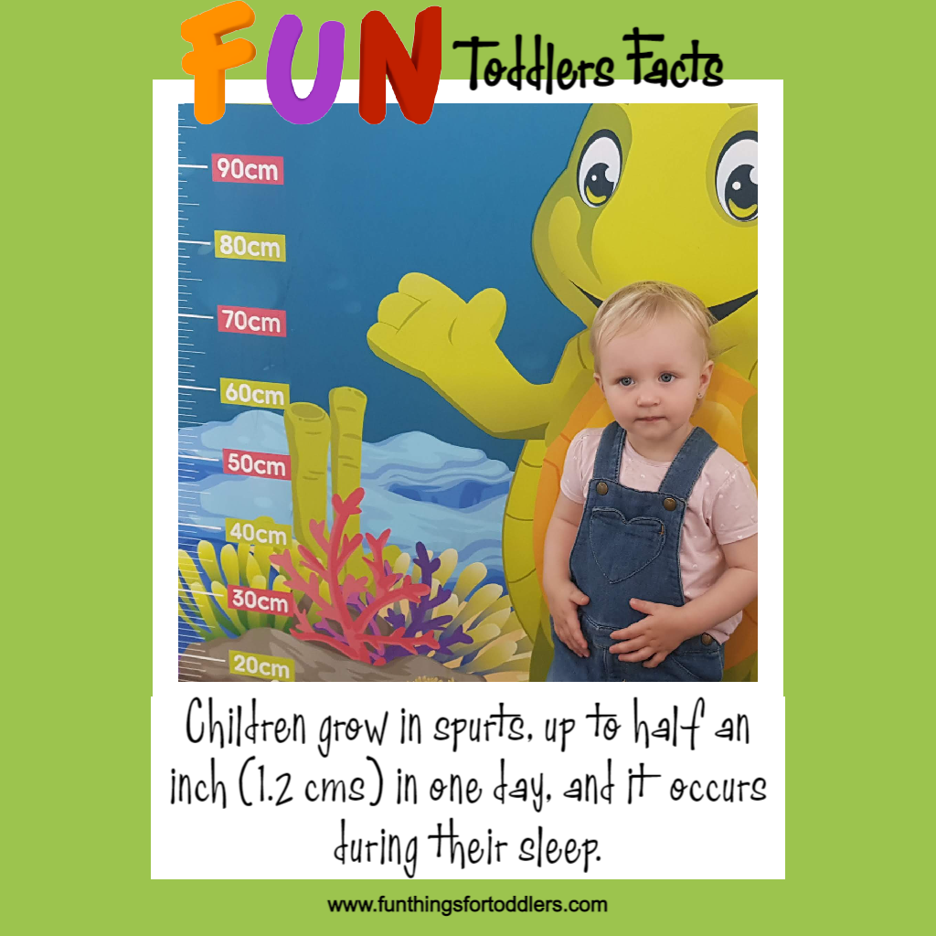 ToddlerFacts-GrowOverNight