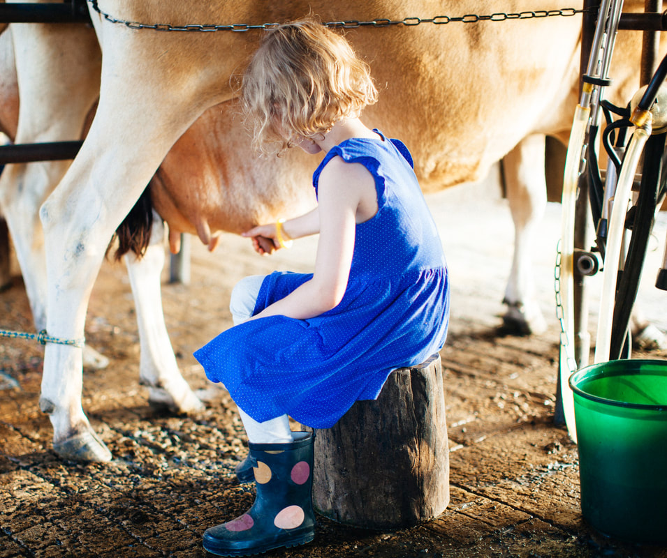 Tommerups Dairy Farm