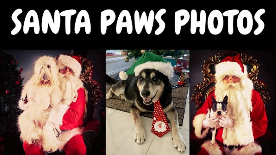 Santa-Paws-Photos-The-Park-Coomera