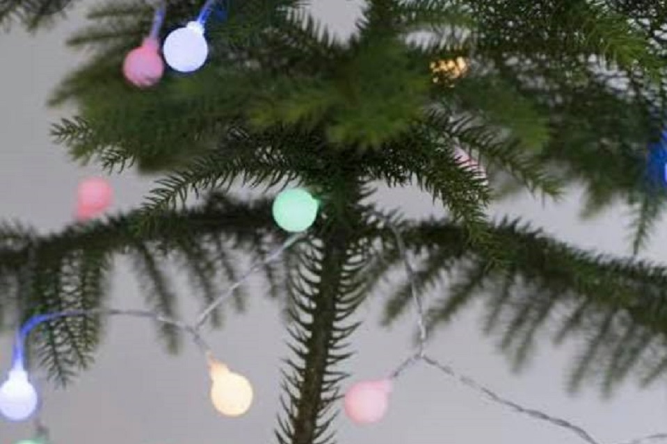 Switching-on-the-lights-Ormeau-Christmas-Tree