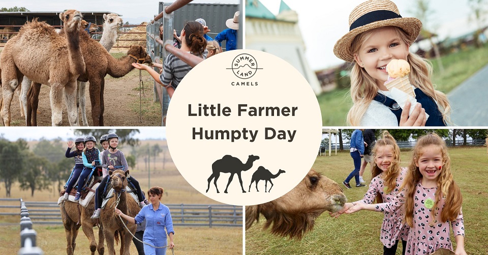 Little-Farmer-Humpty-Day-Harrisville