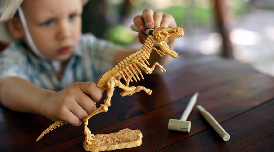 Dinosaur-Discovery-Workshops-Beenleigh