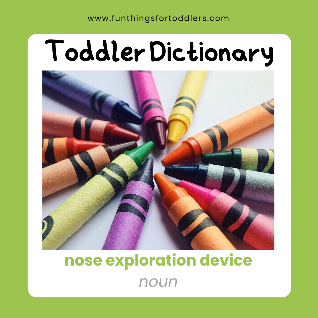 Toddler Dictionary Fun Things for Toddlers