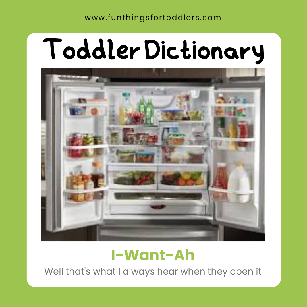 Toddler Dictionary Fun Things for Toddlers