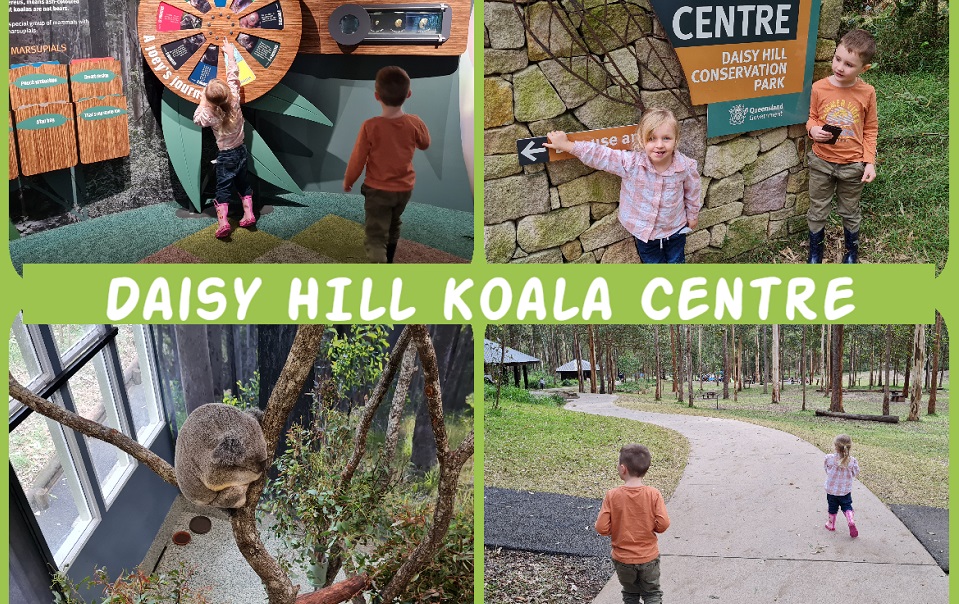 Daisy-Hill-Koala-Centre