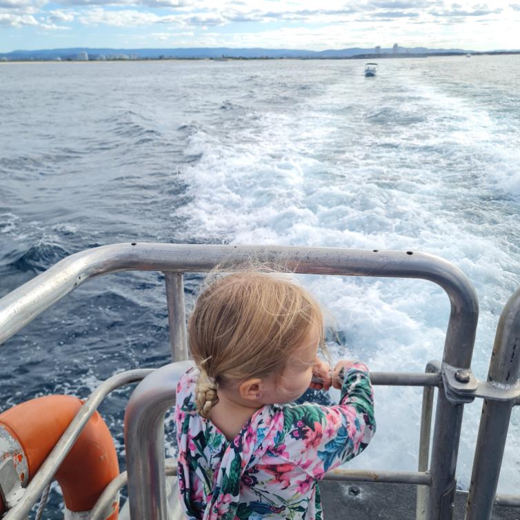 Family Friendly Whale Watching Cruise