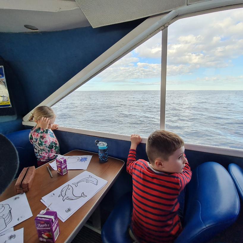 whale watching with kids queensland